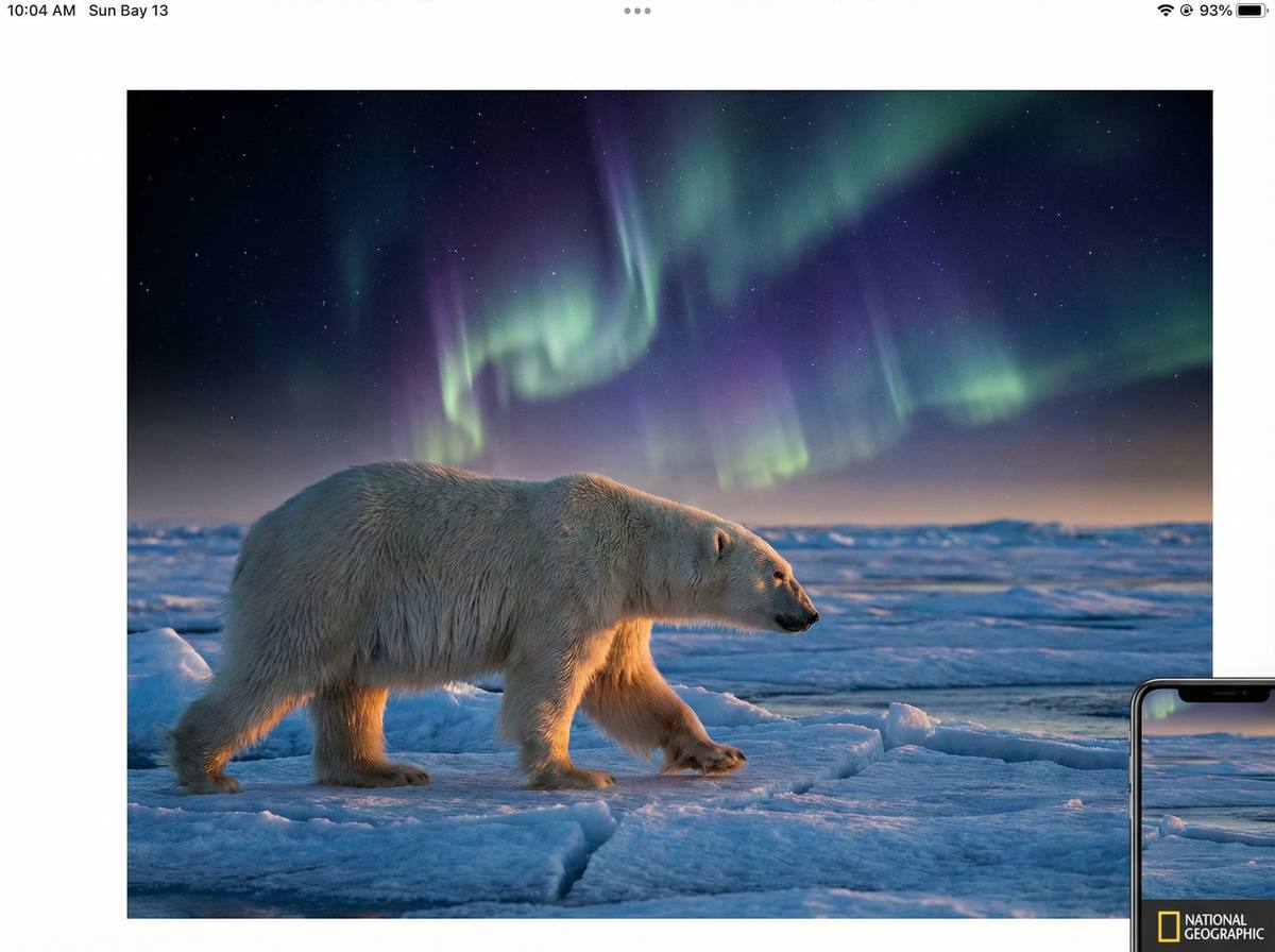 帝王会所北极熊视频